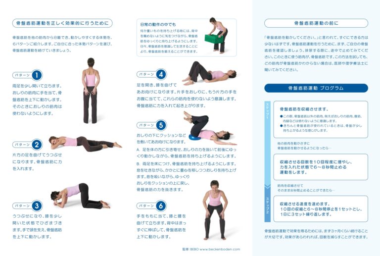 ストンゲル対リーフレット